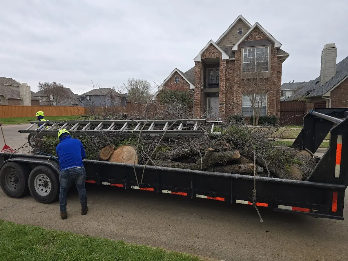 Expert Tree Fertilization with proper safety equipment in Muskego